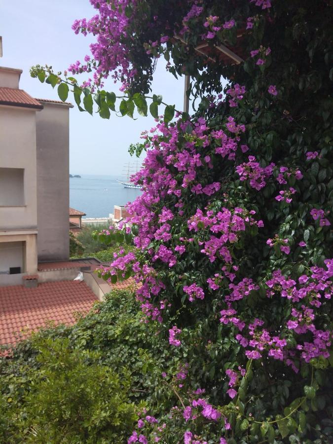 Luna Tsuki Seven Aparthotel Ρόβινι Εξωτερικό φωτογραφία